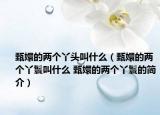 甄嬛的两个丫头叫什么（甄嬛的两个丫鬟叫什么 甄嬛的两个丫鬟的简介）