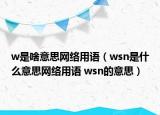 w是啥意思网络用语（wsn是什么意思网络用语 wsn的意思）