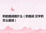 豹的组词组什么（豹组词 汉字豹怎么组词）