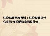 红粉骷髅百度百科（红粉骷髅是什么意思 红粉骷髅意思是什么）