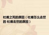 杜甫之死的原因（杜甫怎么去世的 杜甫去世的原因）
