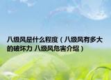 八级风是什么程度（八级风有多大的破坏力 八级风危害介绍）
