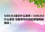 5201314表示什么意思（5201314什么意思 见数字所代表的爱情网络用语）