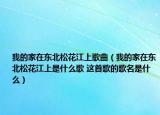 我的家在东北松花江上歌曲（我的家在东北松花江上是什么歌 这首歌的歌名是什么）