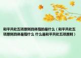 和平共处五项原则具体指的是什么（和平共处五项原则具体是指什么 什么是和平共处五项原则）