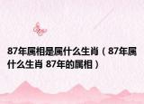 87年属相是属什么生肖（87年属什么生肖 87年的属相）