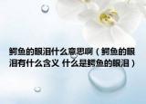 鳄鱼的眼泪什么意思啊（鳄鱼的眼泪有什么含义 什么是鳄鱼的眼泪）