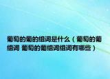 葡萄的葡的组词是什么（葡萄的葡组词 葡萄的葡组词组词有哪些）