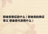 郁金香象征是什么（郁金香的象征意义 郁金香代表着什么）