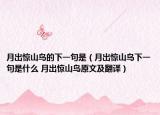 月出惊山鸟的下一句是（月出惊山鸟下一句是什么 月出惊山鸟原文及翻译）
