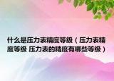什么是压力表精度等级（压力表精度等级 压力表的精度有哪些等级）