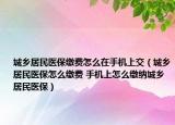 城乡居民医保缴费怎么在手机上交（城乡居民医保怎么缴费 手机上怎么缴纳城乡居民医保）