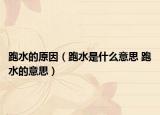跑水的原因（跑水是什么意思 跑水的意思）