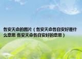 各安天命的图片（各安天命各自安好是什么意思 各安天命各自安好的意思）