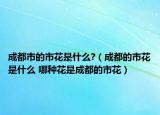 成都市的市花是什么?（成都的市花是什么 哪种花是成都的市花）
