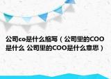 公司co是什么缩写（公司里的COO是什么 公司里的COO是什么意思）