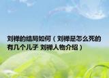 刘禅的结局如何（刘禅是怎么死的有几个儿子 刘禅人物介绍）