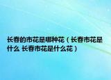 长春的市花是哪种花（长春市花是什么 长春市花是什么花）