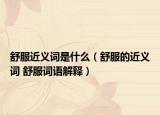 舒服近义词是什么（舒服的近义词 舒服词语解释）