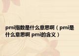 pmi指数是什么意思啊（pmi是什么意思啊 pmi的含义）