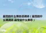 晶莹的什么填合适词语（晶莹的什么填词语 晶莹是什么意思）