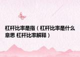 杠杆比率是指（杠杆比率是什么意思 杠杆比率解释）