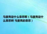 马赛克是什么意思呢（马赛克是什么意思啊 马赛克的意思）