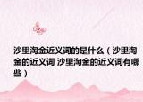 沙里淘金近义词的是什么（沙里淘金的近义词 沙里淘金的近义词有哪些）