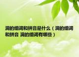 洞的组词和拼音是什么（洞的组词和拼音 洞的组词有哪些）