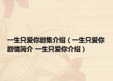 一生只爱你剧集介绍（一生只爱你剧情简介 一生只爱你介绍）