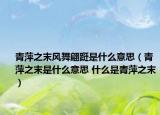 青萍之末风舞翩跹是什么意思（青萍之末是什么意思 什么是青萍之末）