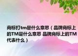 商标打tm是什么意思（品牌商标上的TM是什么意思 品牌商标上的TM代表什么）