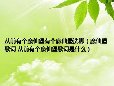 从前有个魔仙堡有个魔仙堡洗脚（魔仙堡歌词 从前有个魔仙堡歌词是什么）