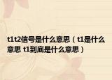 t1t2信号是什么意思（t1是什么意思 t1到底是什么意思）