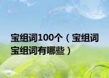 宝组词100个（宝组词 宝组词有哪些）