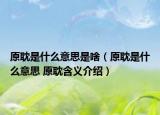 原耽是什么意思是啥（原耽是什么意思 原耽含义介绍）