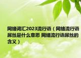 网络词汇2023流行语（网络流行语屌丝是什么意思 网络流行语屌丝的含义）