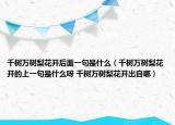 千树万树梨花开后面一句是什么（千树万树梨花开的上一句是什么呀 千树万树梨花开出自哪）