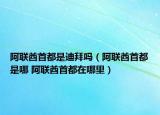 阿联酋首都是迪拜吗（阿联酋首都是哪 阿联酋首都在哪里）