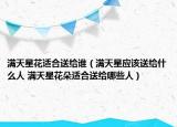 满天星花适合送给谁（满天星应该送给什么人 满天星花朵适合送给哪些人）