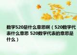 数字520是什么意思啊（520数字代表什么意思 520数字代表的意思是什么）