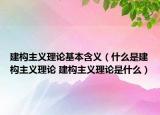 建构主义理论基本含义（什么是建构主义理论 建构主义理论是什么）