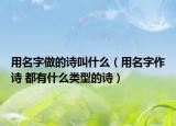 用名字做的诗叫什么（用名字作诗 都有什么类型的诗）