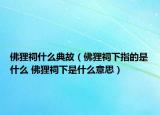 佛狸祠什么典故（佛狸祠下指的是什么 佛狸祠下是什么意思）
