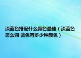 淡蓝色搭配什么颜色最佳（淡蓝色怎么调 蓝色有多少种颜色）