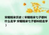 宋朝杨家历史（宋朝杨家七子都叫什么名字 宋朝杨家七子都叫啥名字）