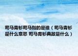 司马青衫司马指的是谁（司马青衫是什么意思 司马青衫典故是什么）