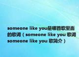 someone like you是哪首歌里面的歌词（someone like you 歌词 someone like you 歌简介）