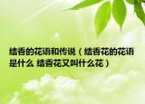 结香的花语和传说（结香花的花语是什么 结香花又叫什么花）