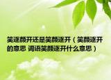 笑逐颜开还是笑颜逐开（笑颜逐开的意思 词语笑颜逐开什么意思）